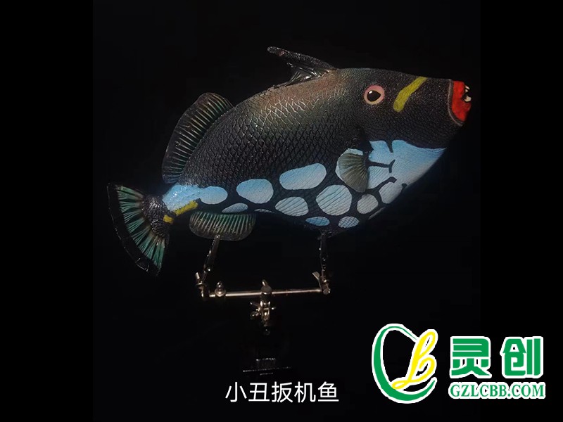 小丑扳機魚標本